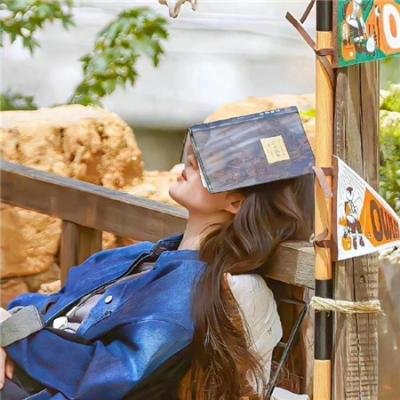 消失的西德尼·豪尔